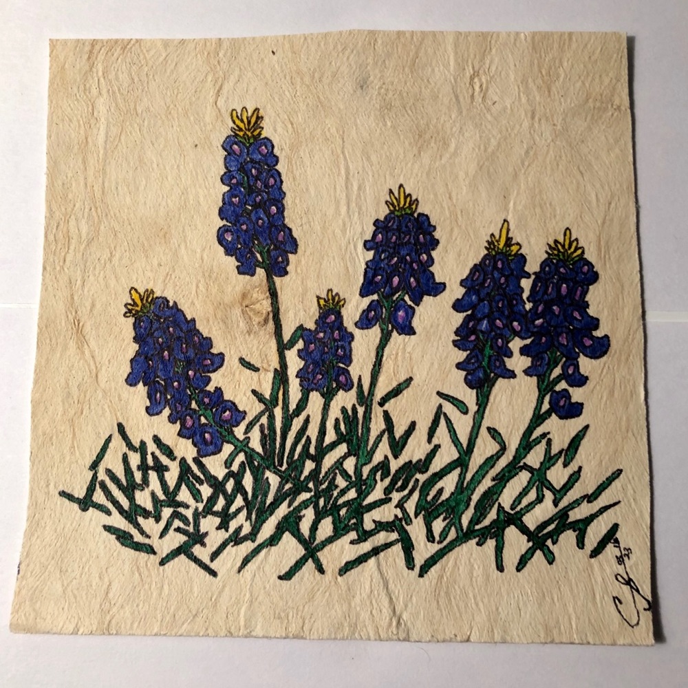 Bluebonnets in San Antonio Texas Art🔥SOLD🔥